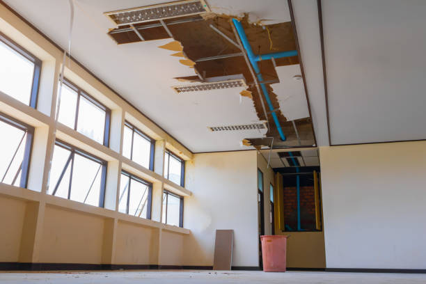 Best 24/7 water damage repair  in Bristol, WI