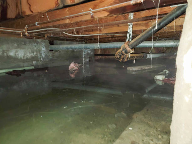 Best Ceiling water damage repair  in Bristol, WI
