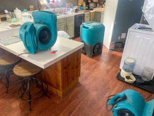 Best Commercial water damage restoration  in Bristol, WI
