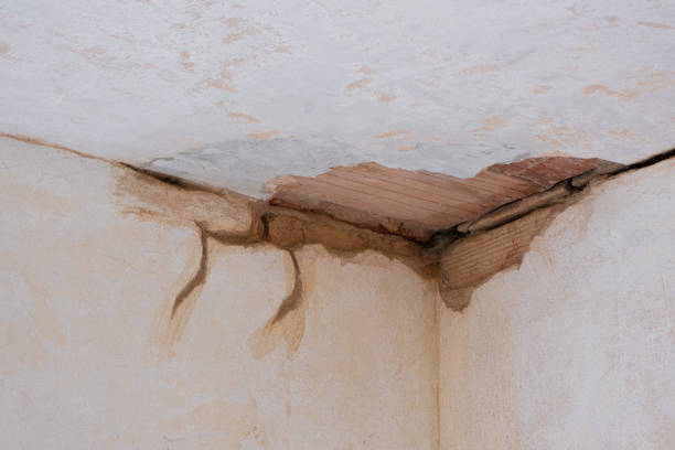 Best Flooded house restoration  in Bristol, WI