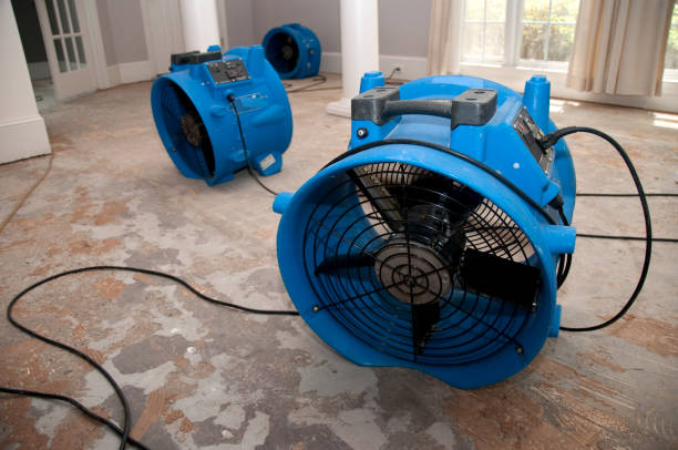 Best Carpet water damage restoration  in Bristol, WI