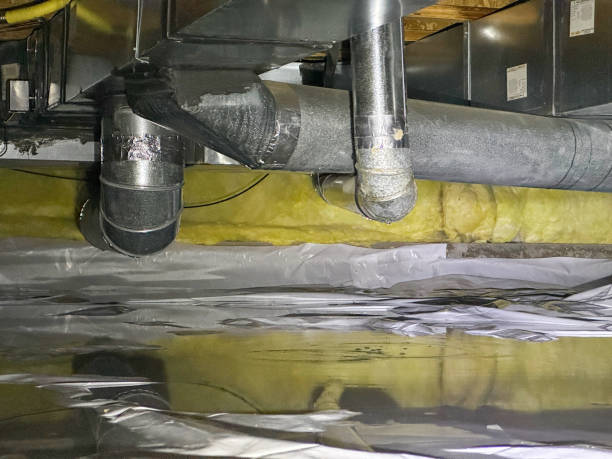Best Water damage cleanup near me  in Bristol, WI