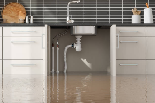 Best Basement water damage restoration  in Bristol, WI