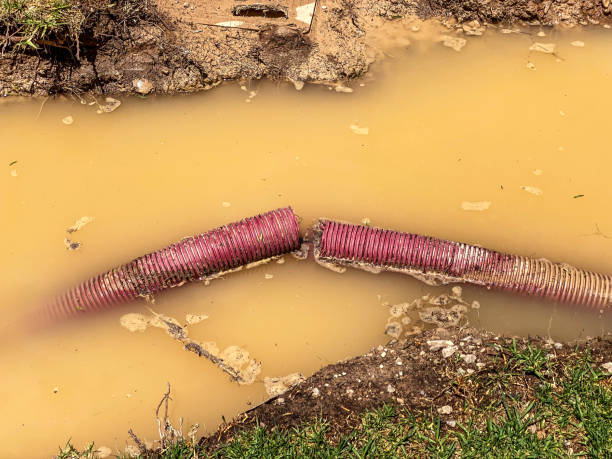 Best Local water damage restoration  in Bristol, WI
