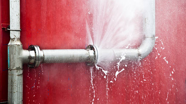 Best Water damage restoration services  in Bristol, WI